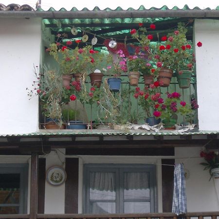 Hotel Rural Carlos I ガルガンタ・ラ・オジャ エクステリア 写真